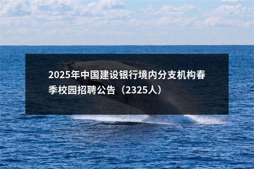 2025年中国建设银行境内分支机构春季校园招聘公告（2325人）                进入阅读模式 图片