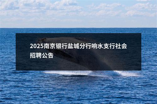 2025南京银行盐城分行响水支行社会招聘公告                进入阅读模式 图片