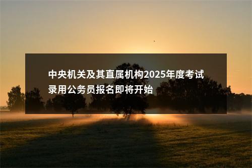 中央机关及其直属机构2025年度考试录用公务员报名即将开始                进入阅读模式 图片