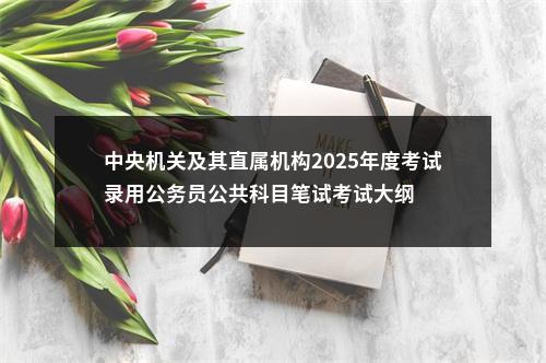 中央机关及其直属机构2025年度考试录用公务员公共科目笔试考试大纲                进入阅读模式 图片