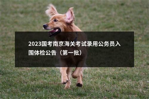 2023国考南京海关考试录用公务员入围体检公告（第一批）                进入阅读模式 图片