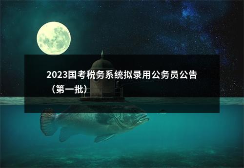 2023国考税务系统拟录用公务员公告（第一批）                进入阅读模式 图片