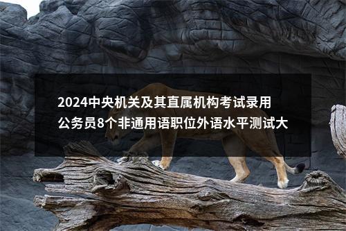 2024中央机关及其直属机构考试录用公务员8个非通用语职位外语水平测试大纲                进入阅读模式 图片