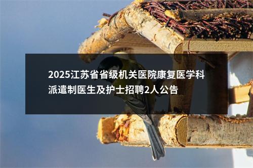 2025江苏省省级机关医院康复医学科派遣制医生及护士招聘2人公告                进入阅读模式 图片