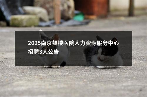2025南京鼓楼医院人力资源服务中心招聘3人公告                进入阅读模式 图片