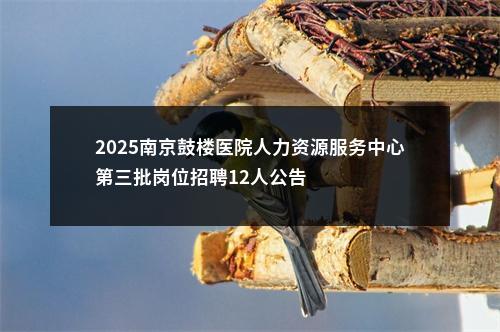 2025南京鼓楼医院人力资源服务中心第三批岗位招聘12人公告                进入阅读模式 图片