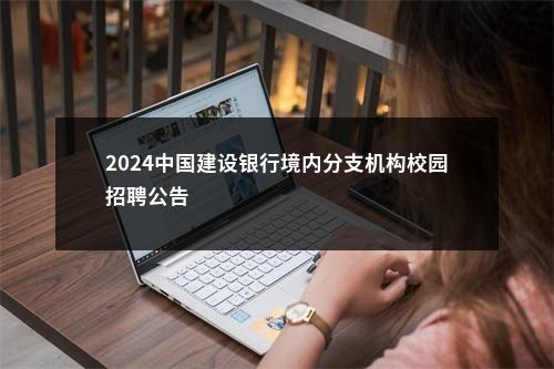 2024中国建设银行境内分支机构校园招聘公告                进入阅读模式 图片