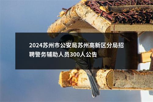 2024苏州市公安局苏州高新区分局招聘警务辅助人员300人公告                进入阅读模式 图片